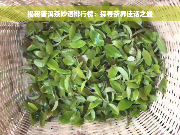 揭秘普洱茶妙语排行榜：探寻茶界佳话之最