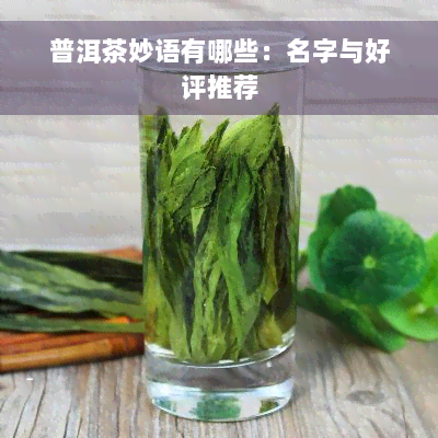 普洱茶妙语有哪些：名字与好评推荐