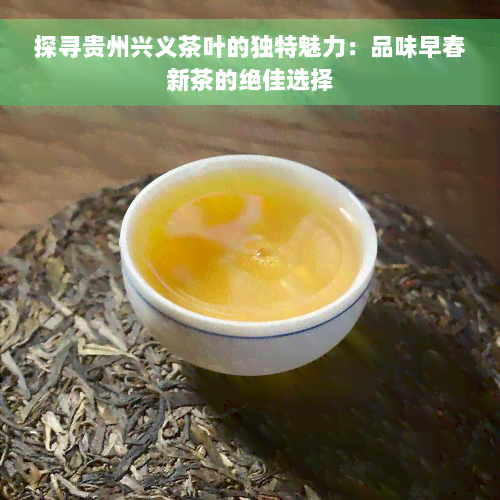 探寻贵州兴义茶叶的独特魅力：品味早春新茶的绝佳选择