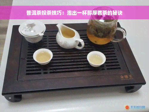 普洱茶投茶技巧：泡出一杯醇厚茗茶的秘诀