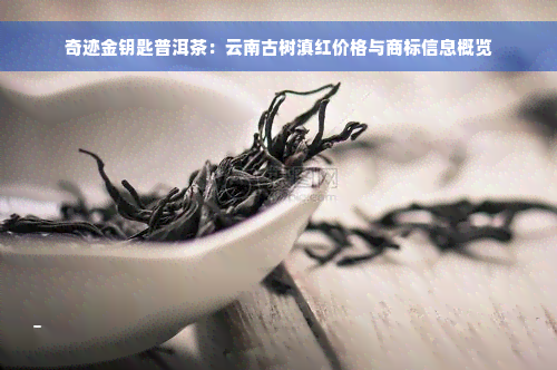 奇迹金钥匙普洱茶：云南古树滇红价格与商标信息概览