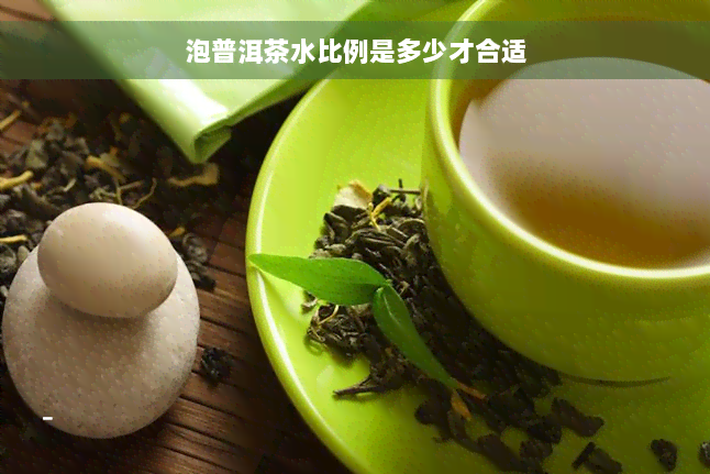 泡普洱茶水比例是多少才合适