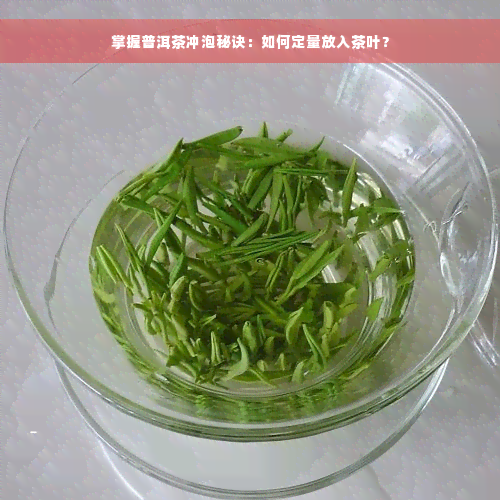 掌握普洱茶冲泡秘诀：如何定量放入茶叶？