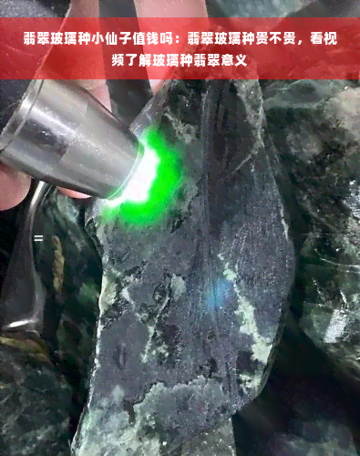 翡翠玻璃种小仙子值钱吗：翡翠玻璃种贵不贵，看视频了解玻璃种翡翠意义