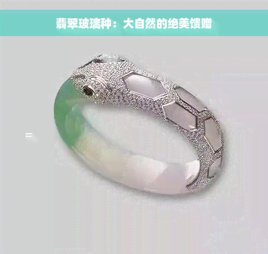 翡翠玻璃种：大自然的绝美馈赠