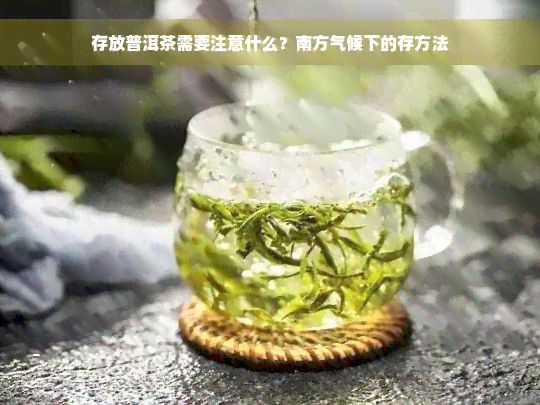 存放普洱茶需要注意什么？南方气候下的存方法