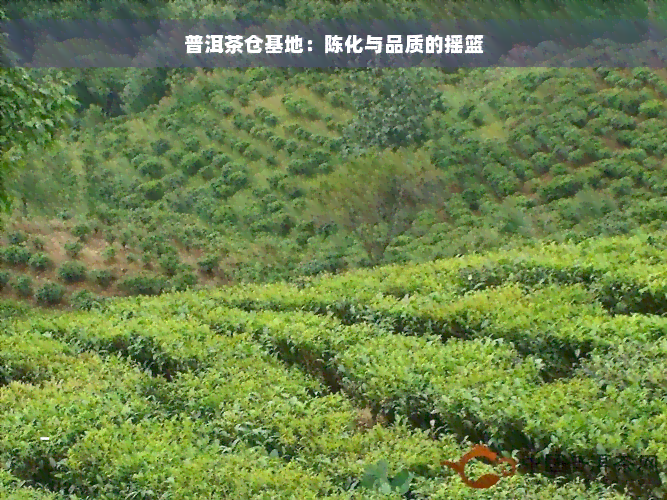 普洱茶仓基地：陈化与品质的摇篮