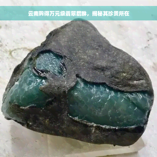 云南购得万元级翡翠貔貅，揭秘其珍贵所在