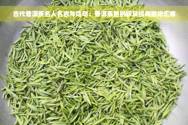 古代普洱茶名人名言与诗句：普洱茶的别称及经典言论汇编