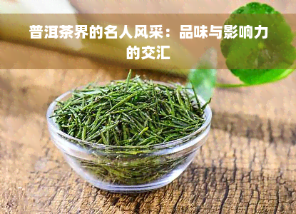 普洱茶界的名人风采：品味与影响力的交汇