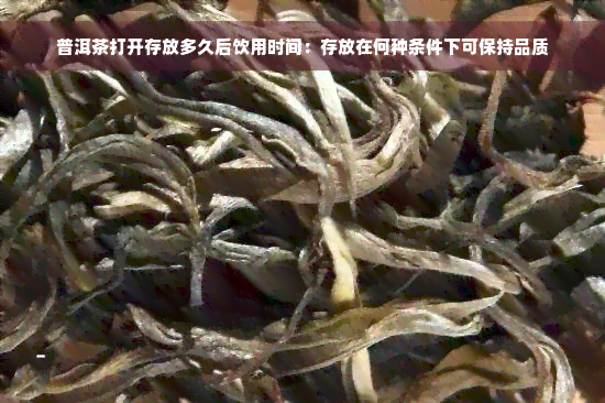 普洱茶打开存放多久后饮用时间：存放在何种条件下可保持品质