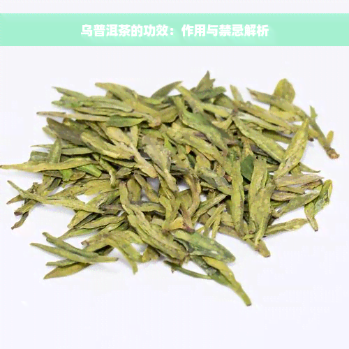 乌普洱茶的功效：作用与禁忌解析