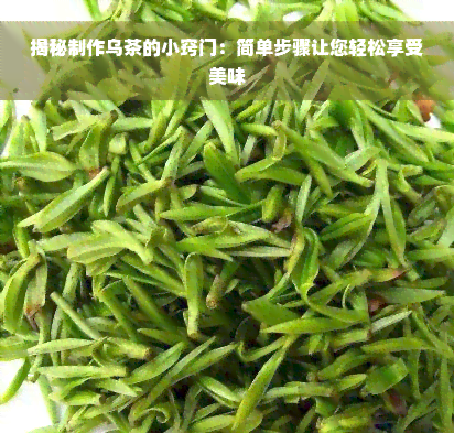 揭秘制作乌茶的小窍门：简单步骤让您轻松享受美味