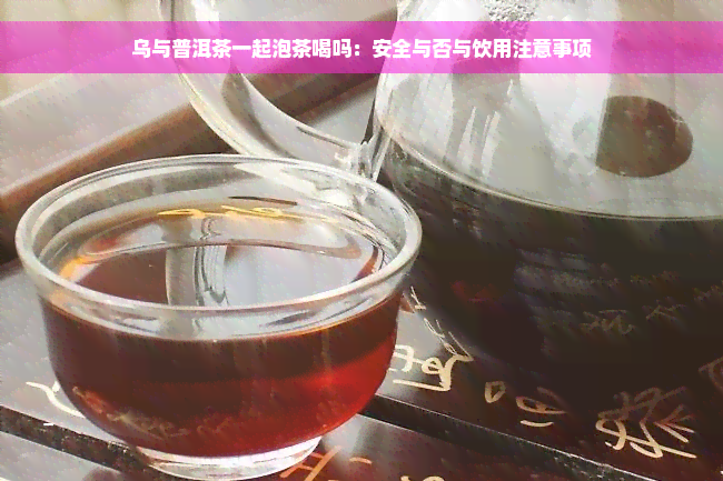 乌与普洱茶一起泡茶喝吗：安全与否与饮用注意事项