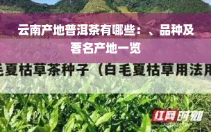 云南产地普洱茶有哪些：、品种及著名产地一览