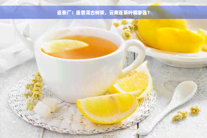 连茶厂：连普洱古树茶，云南连茶叶哪家强？