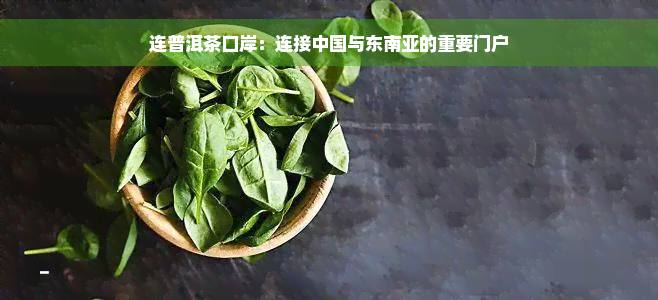 连普洱茶口岸：连接中国与东南亚的重要门户