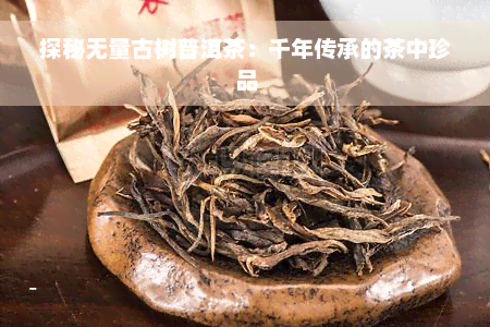 探秘无量古树普洱茶：千年传承的茶中珍品