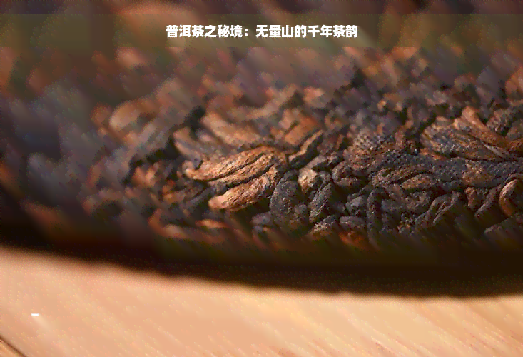 普洱茶之秘境：无量山的千年茶韵