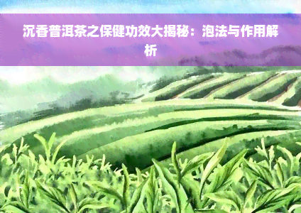 沉香普洱茶之保健功效大揭秘：泡法与作用解析