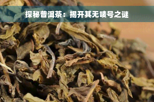 探秘普洱茶：揭开其无唛号之谜