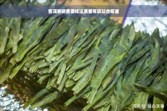 普洱茶销售需标注质量等级以合标准