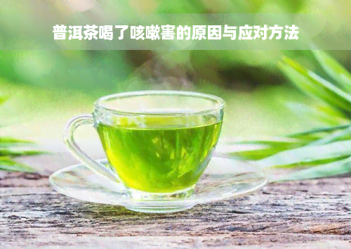 普洱茶喝了咳嗽害的原因与应对方法