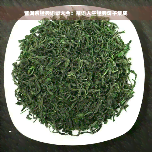 普洱茶经典语录大全：茶语人生经典句子集成