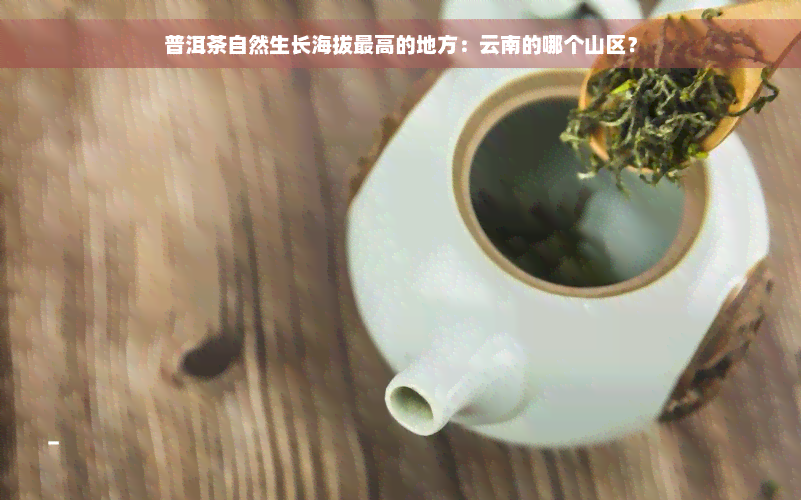 普洱茶自然生长海拔更高的地方：云南的哪个山区？