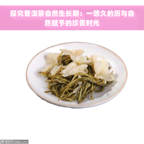 探究普洱茶自然生长期：一悠久的历与自然赋予的珍贵时光