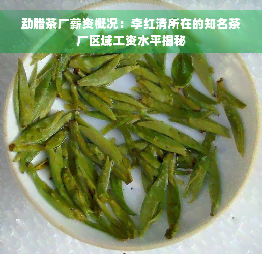 勐腊茶厂薪资概况：李红清所在的知名茶厂区域工资水平揭秘