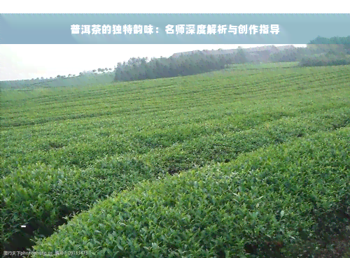 普洱茶的独特韵味：名师深度解析与创作指导