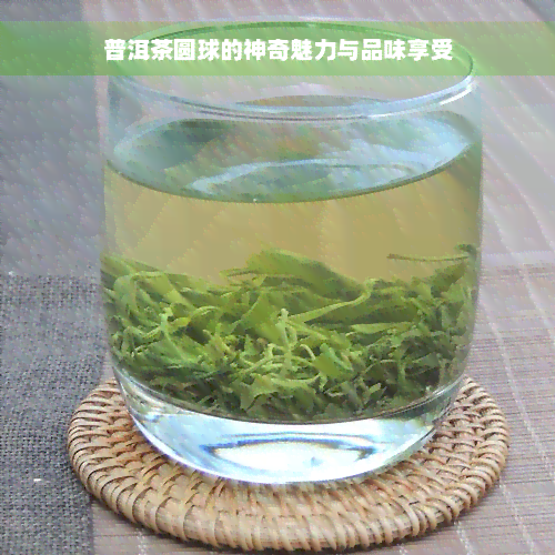 普洱茶圆球的神奇魅力与品味享受