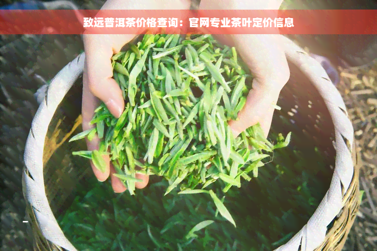 致远普洱茶价格查询：官网专业茶叶定价信息