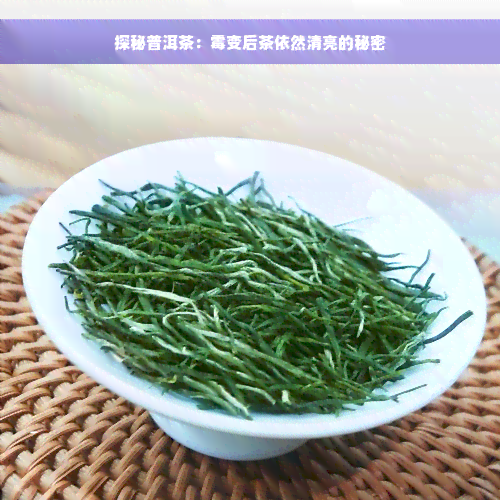 探秘普洱茶：霉变后茶依然清亮的秘密