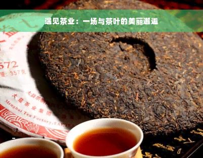 遇见茶业：一场与茶叶的美丽邂逅