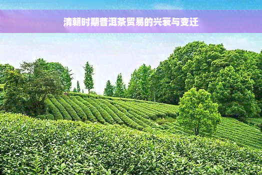 清朝时期普洱茶贸易的兴衰与变迁