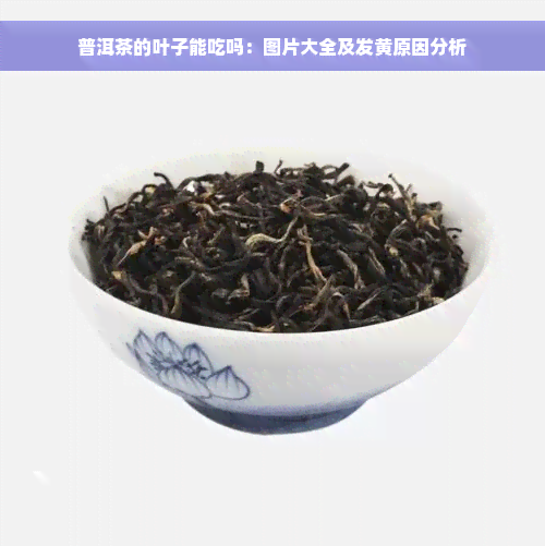 普洱茶的叶子能吃吗：图片大全及发黄原因分析