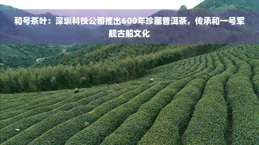 和号茶叶：深圳科技公司推出600年珍藏普洱茶，传承和一号军舰古船文化