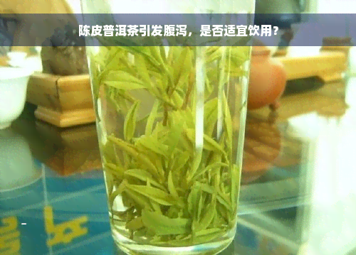 陈皮普洱茶引发腹泻，是否适宜饮用？