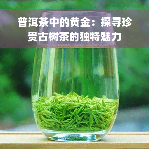 普洱茶中的黄金：探寻珍贵古树茶的独特魅力