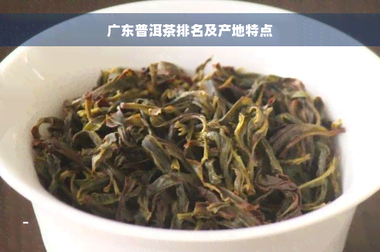 广东普洱茶排名及产地特点