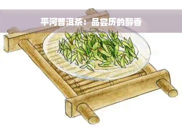 平河普洱茶：品尝历的醇香