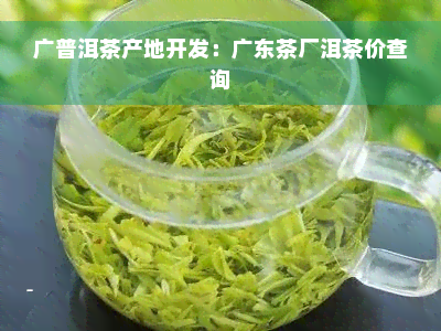 广普洱茶产地开发：广东茶厂洱茶价查询