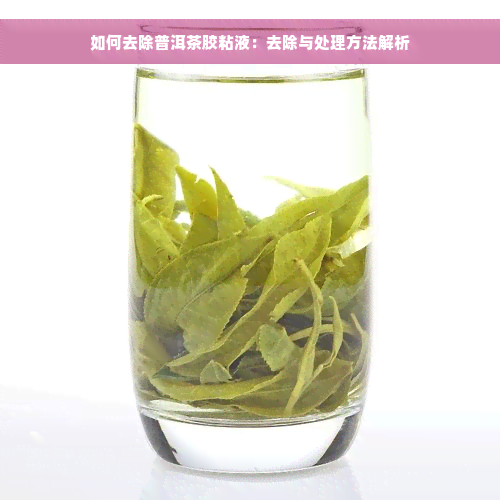 如何去除普洱茶胶粘液：去除与处理方法解析