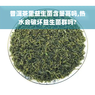 普洱茶里益生菌含量高吗,热水会破坏益生菌群吗?