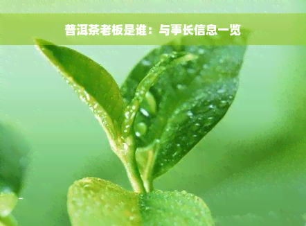 普洱茶老板是谁：与事长信息一览