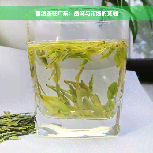 普洱茶在广东：品味与市场的交融