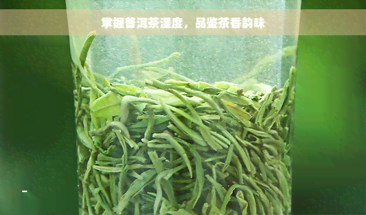 掌握普洱茶湿度，品鉴茶香韵味