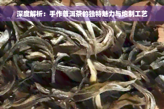 深度解析：手作普洱茶的独特魅力与炮制工艺